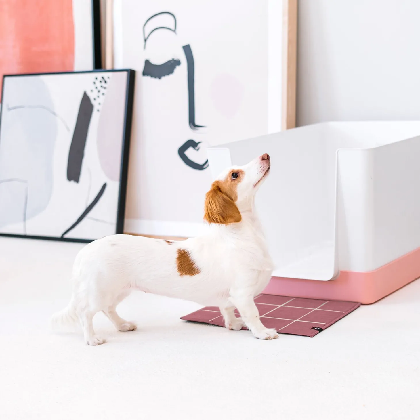 Doggy Bathroom Starter Kit, Pink