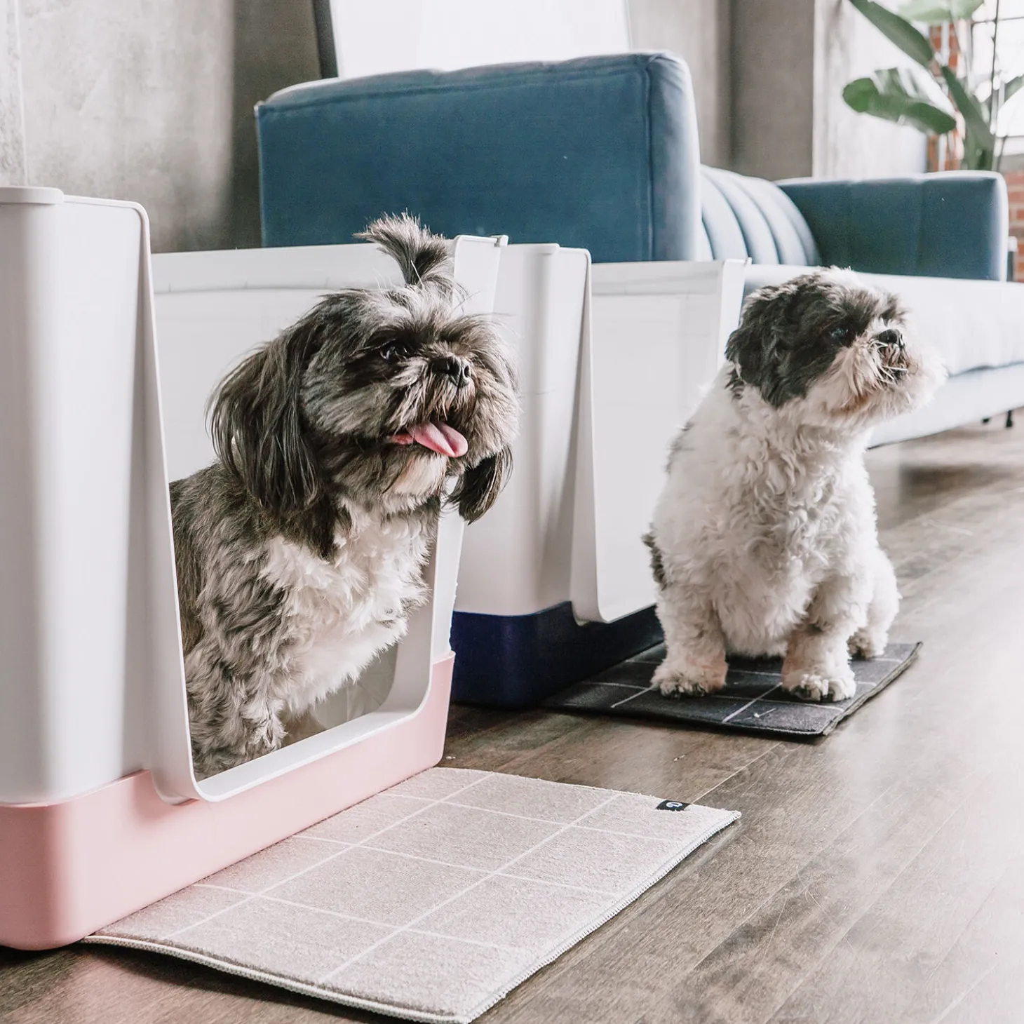 Doggy Bathroom Starter Kit, Pink