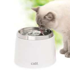 Drinking fountain with filter and stainless steel top, 2L