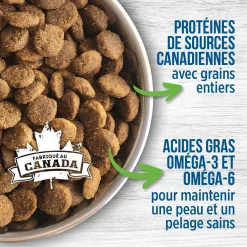 Dry food for puppies, chicken meal & brown rice
