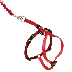 Easy Walk Cat Harness Red, Medium