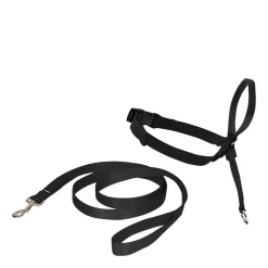 Easy Walk headcollar for dogs, black