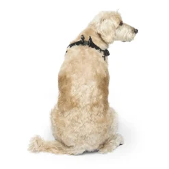 Easy-On Step-In Harness for Dogs