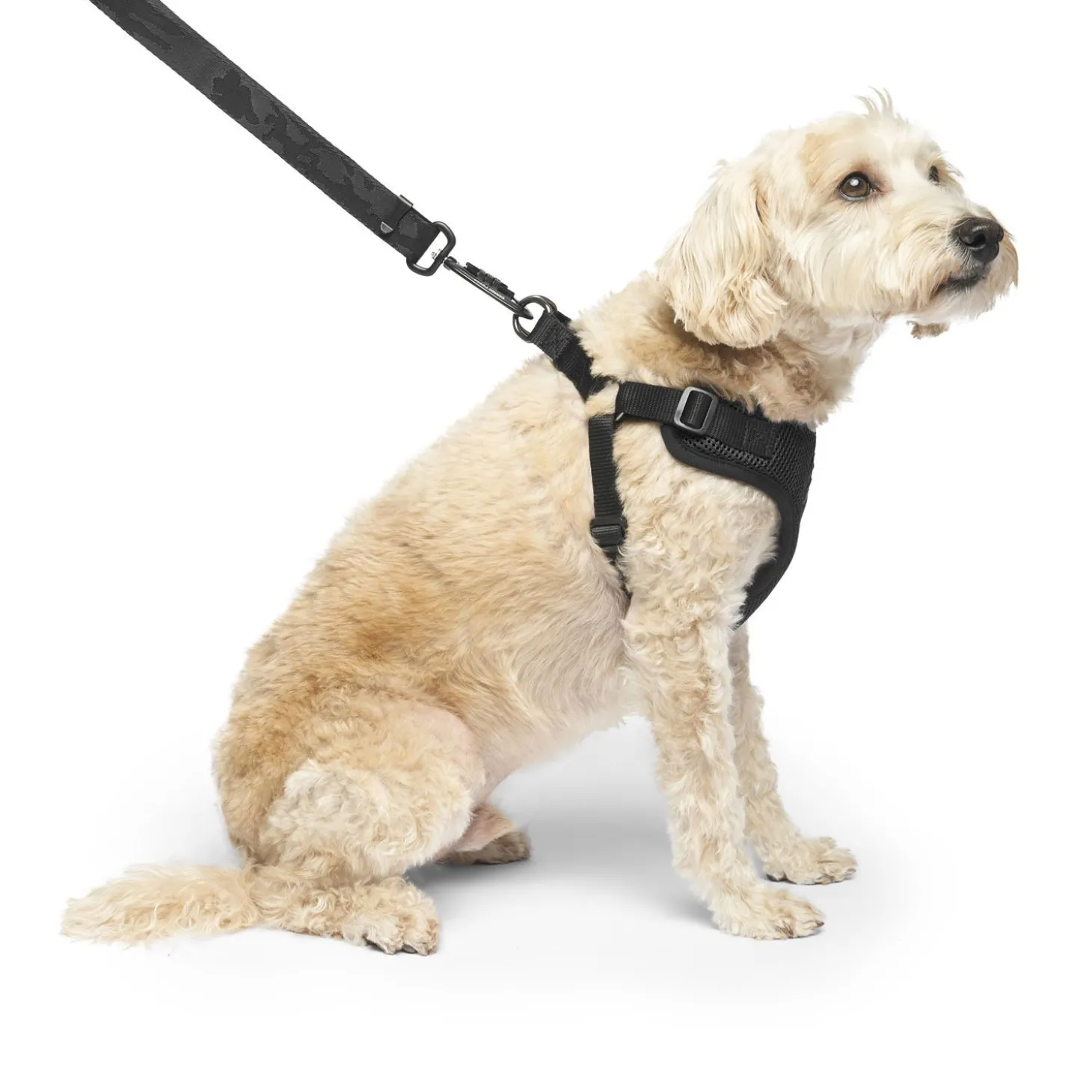 Easy-On Step-In Harness for Dogs