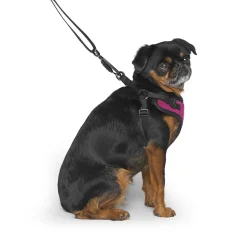 Easy-On Step-In Harness for Dogs