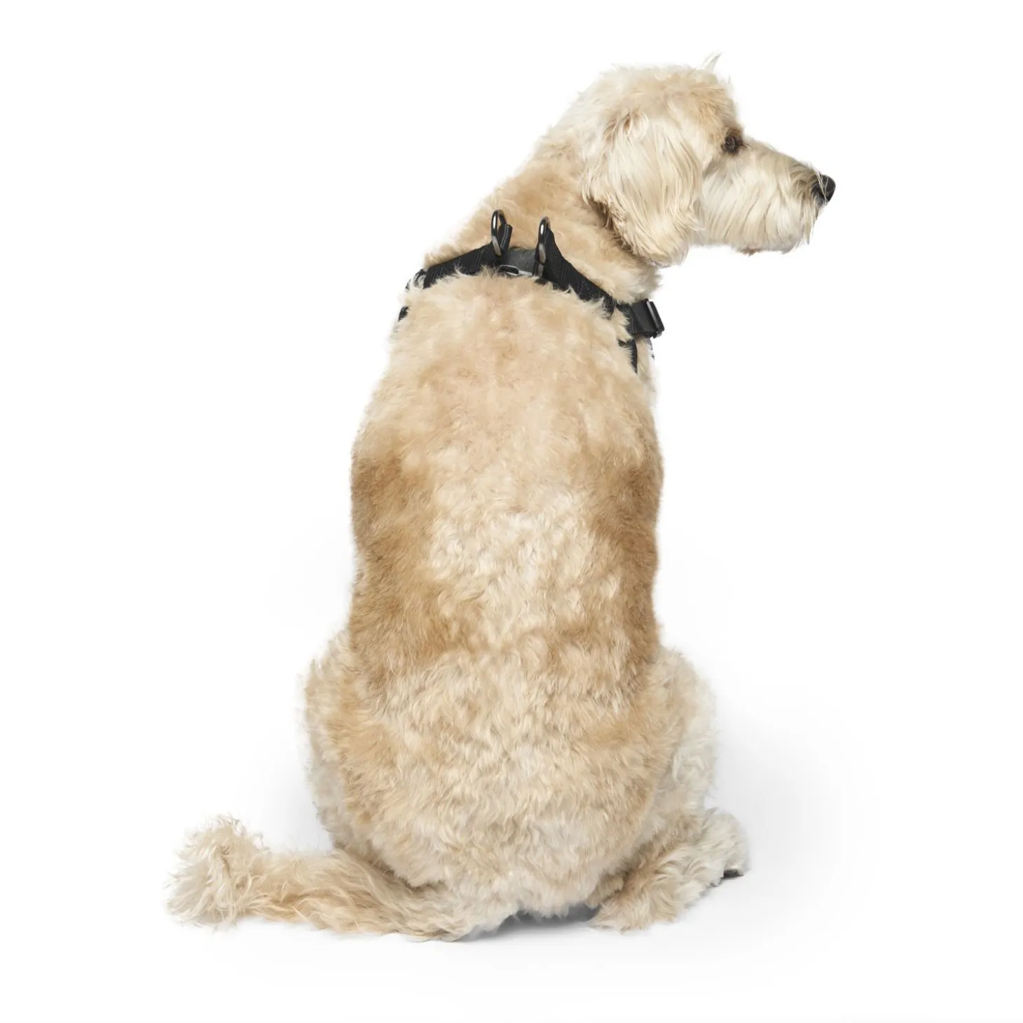 Easy-On Step-In Harness for Dogs
