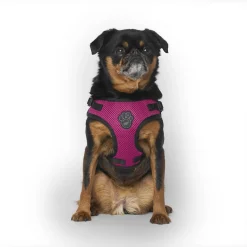 Easy-On Step-In Harness for Dogs