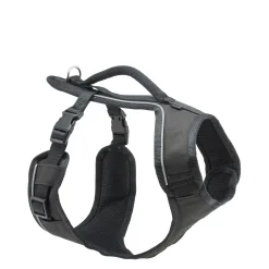 EasySport dog harness, black