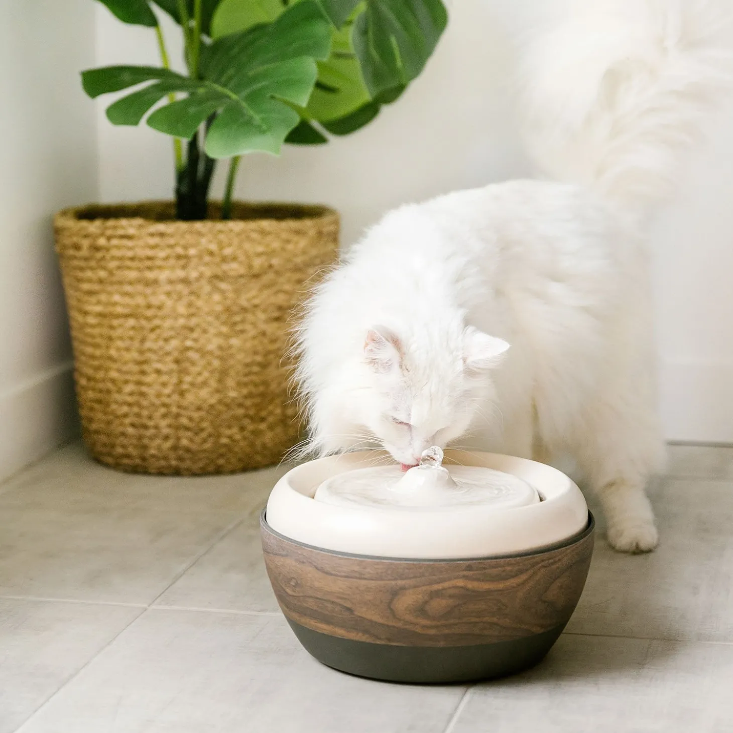Eco Pet Water Fountain 2.0