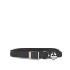Elastic cat collar