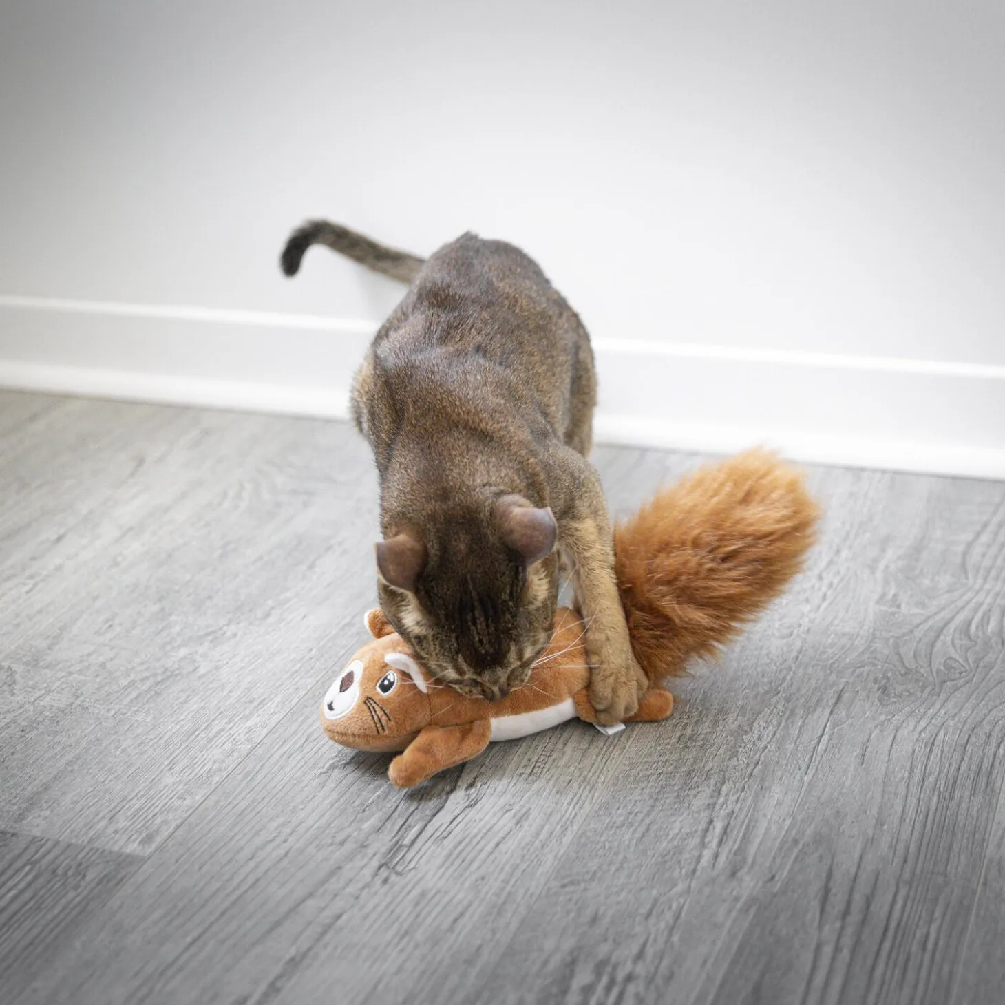 Electronic Squirrel