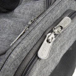 Element pet carrier