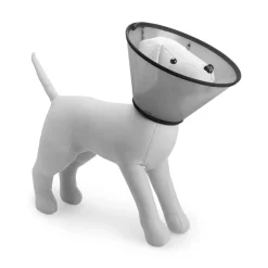 Elizabeth collar for pets