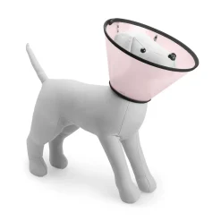 Elizabeth collar for pets