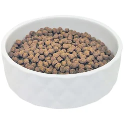 Embossed Ceramic Bowl