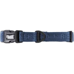 Embroidered Dog Collar, Teal