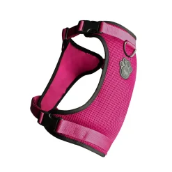 Everything Harness for Dogs