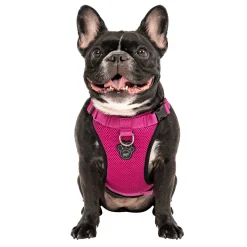 Everything Harness for Dogs