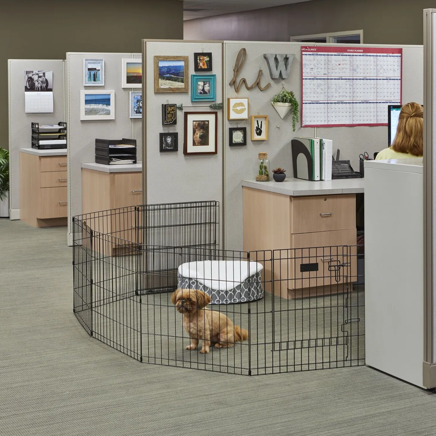 Exercise pen with door for dogs