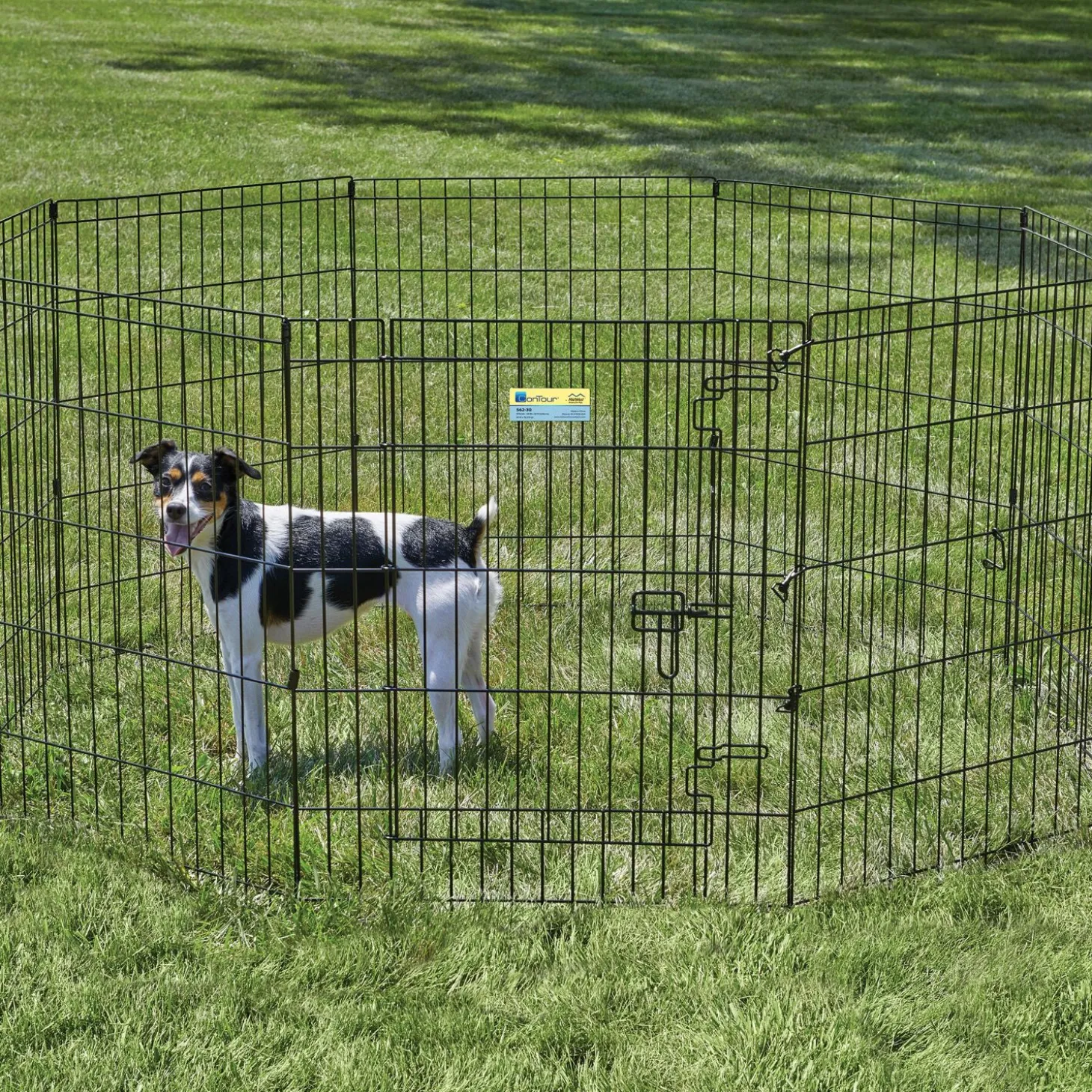 Exercise pen with door for dogs