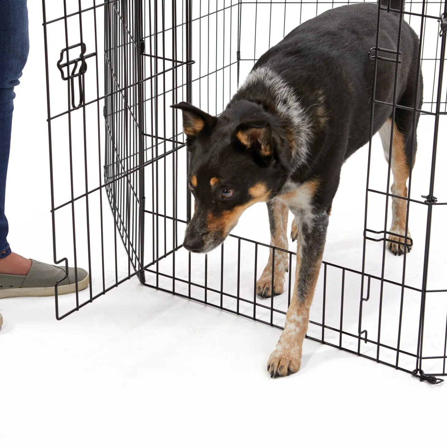 Exercise pen with door for dogs