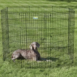 Exercise pen with door for dogs
