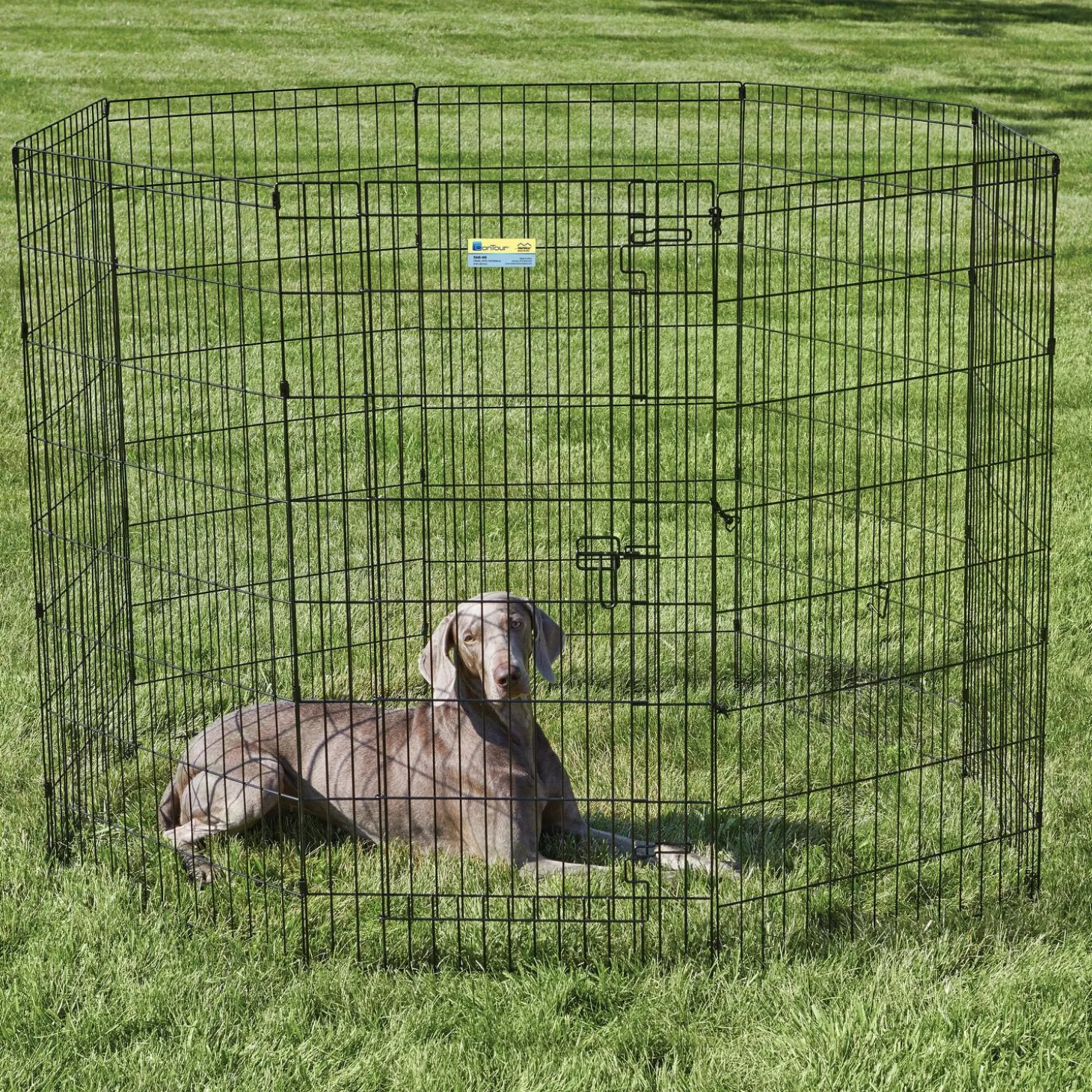 Exercise pen with door for dogs