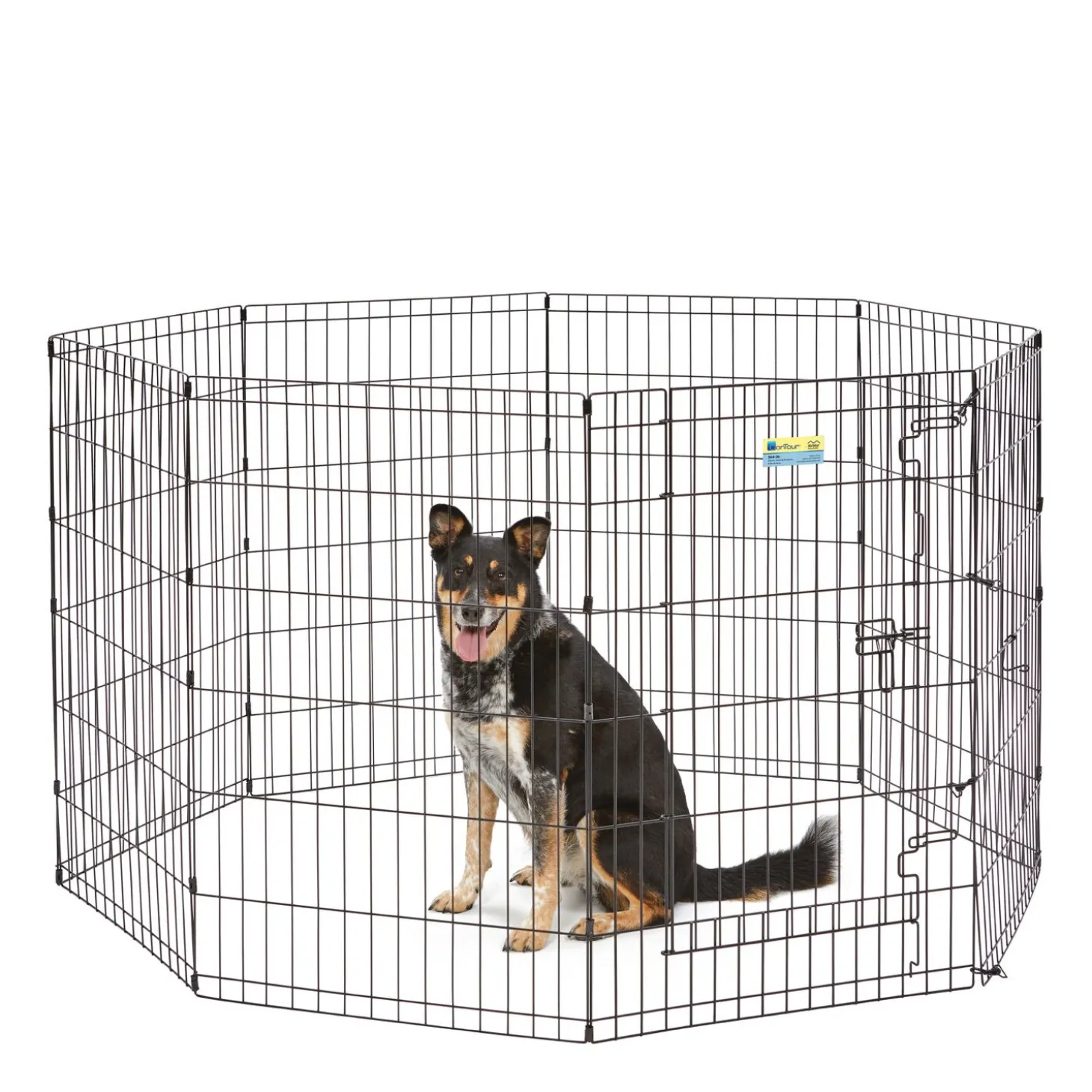 Exercise pen with door for dogs