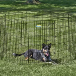 Exercise pen with door for dogs