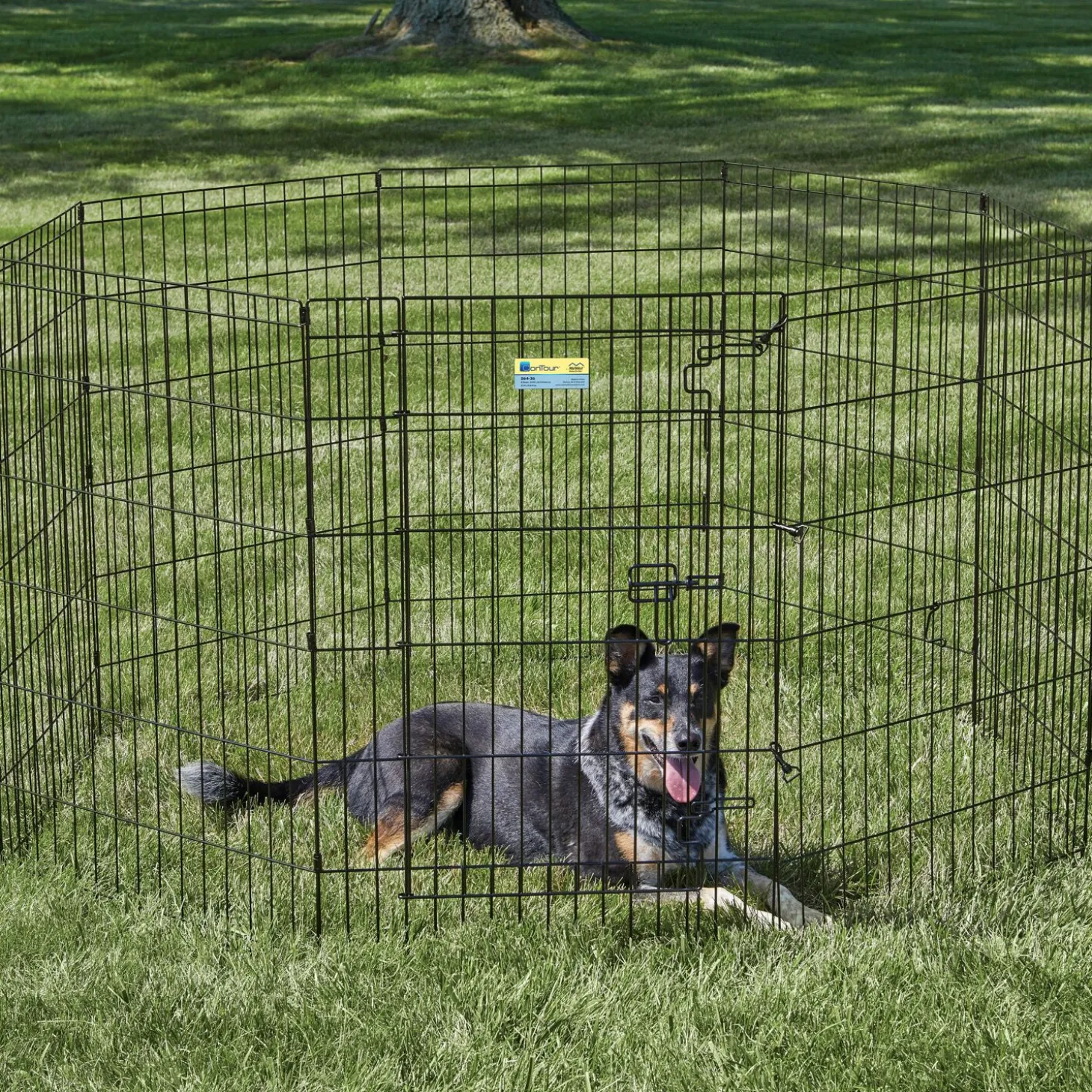 Exercise pen with door for dogs