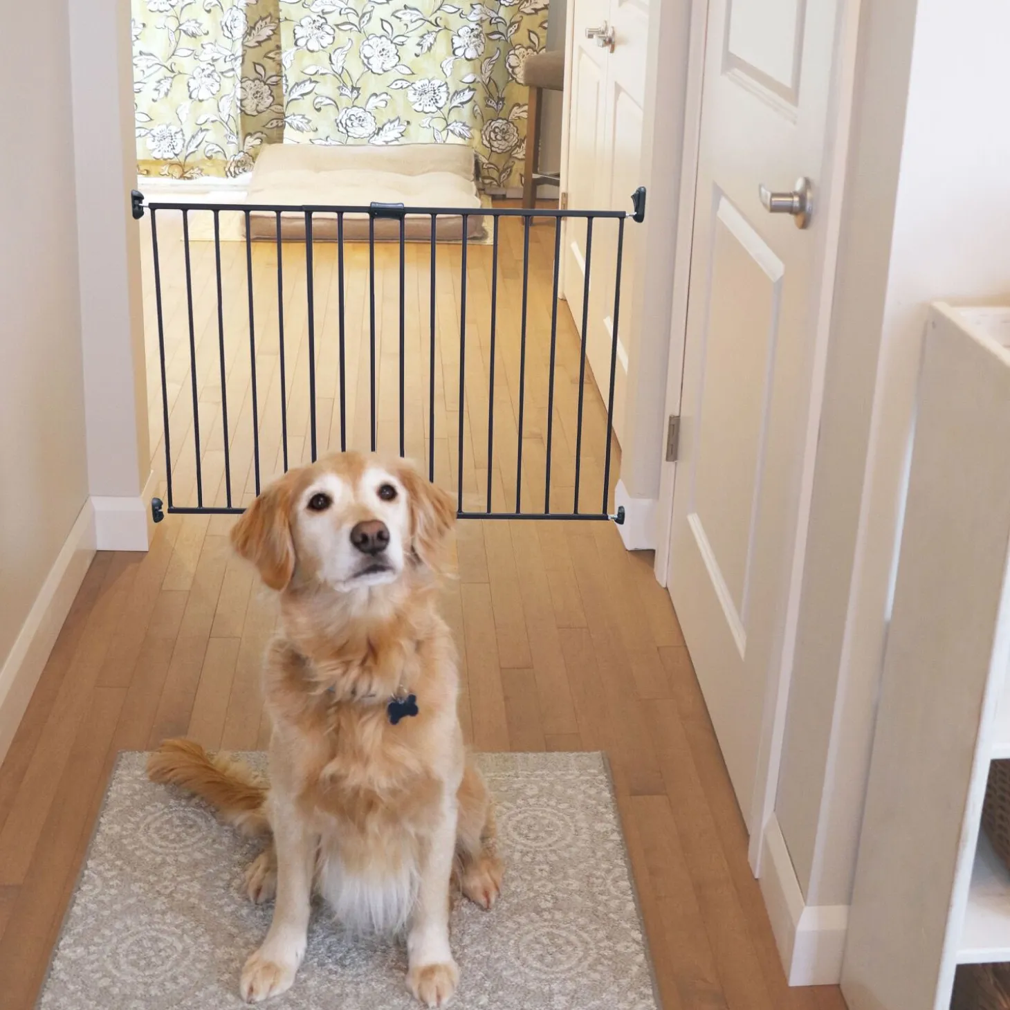 Expandable metal gate, bronze