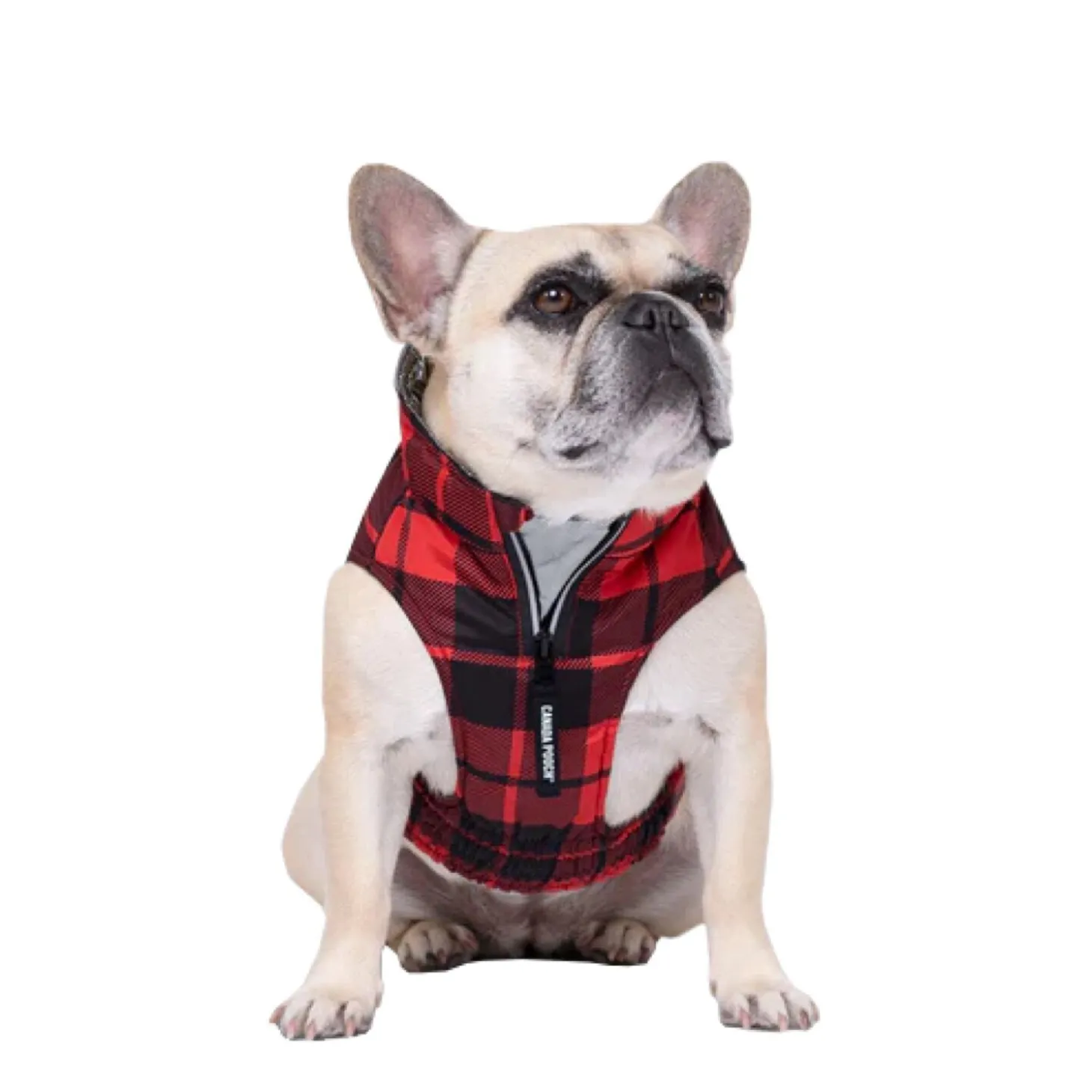 Expedition Coat 2.0, 22