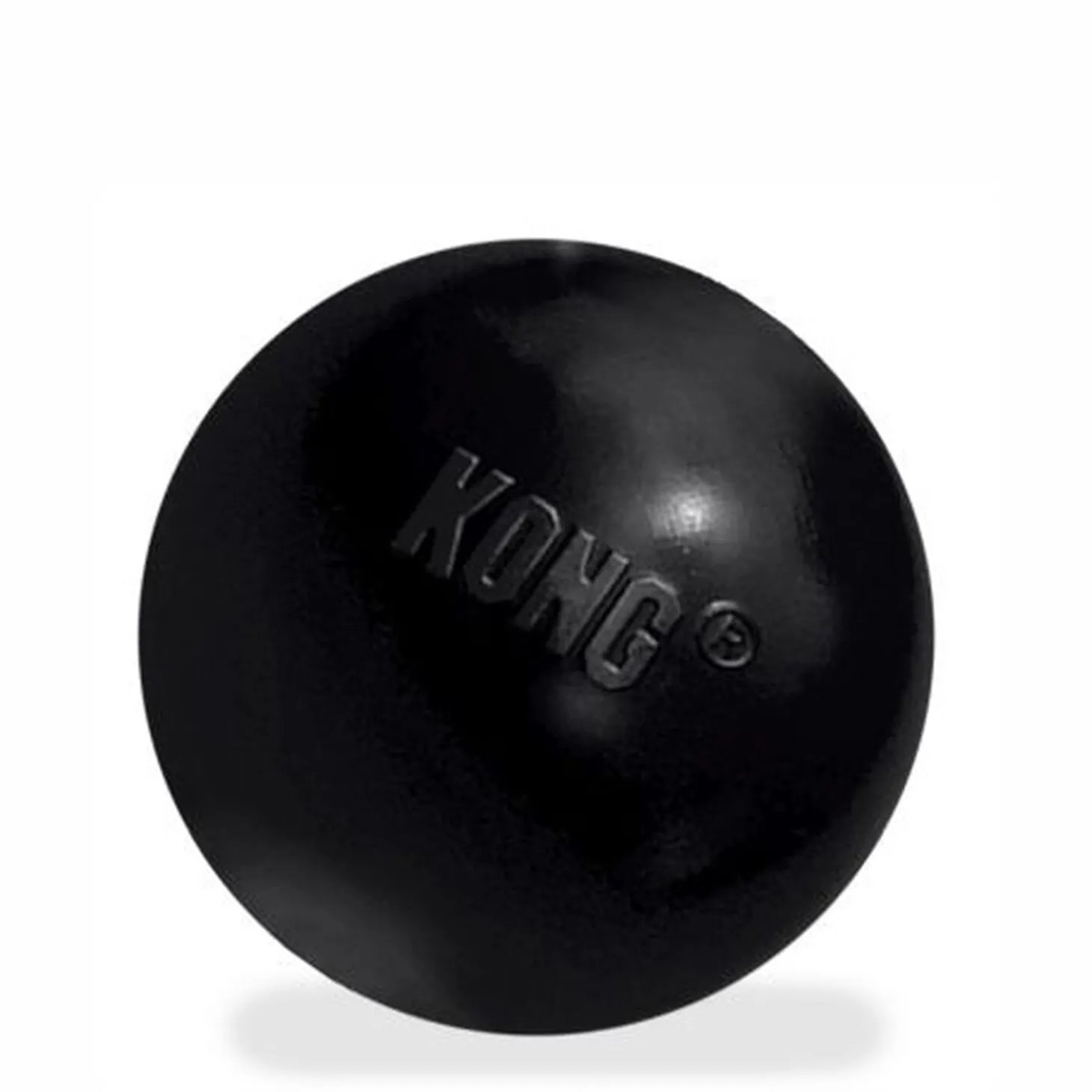 Extreme Ball Dog Toy