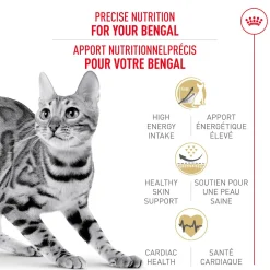 Feline Breed Nutrition™ Bengal Dry Cat Food
