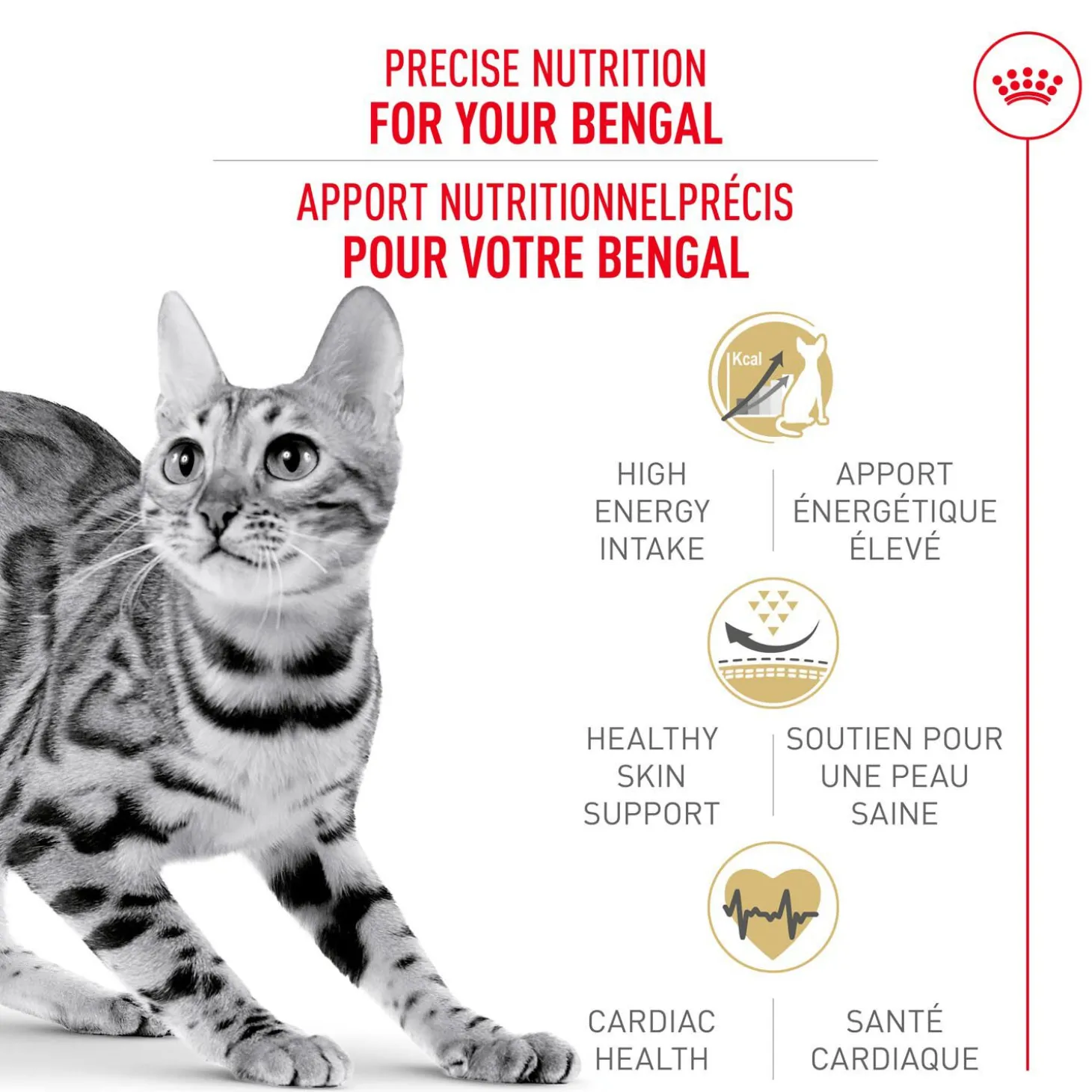 Feline Breed Nutrition™ Bengal Dry Cat Food
