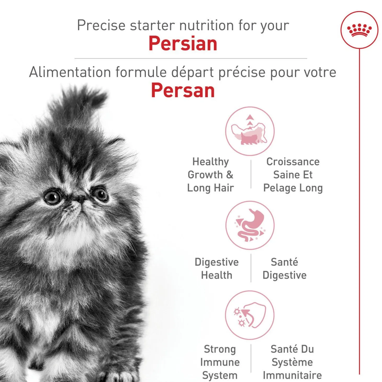 Feline Breed Nutrition™ Dry Food Formula for Persian Kittens