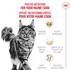 Feline Breed Nutrition™ Maine Coon Dry Cat Food