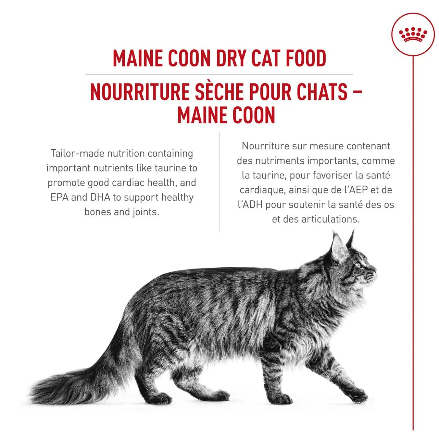 Feline Breed Nutrition™ Maine Coon Dry Cat Food