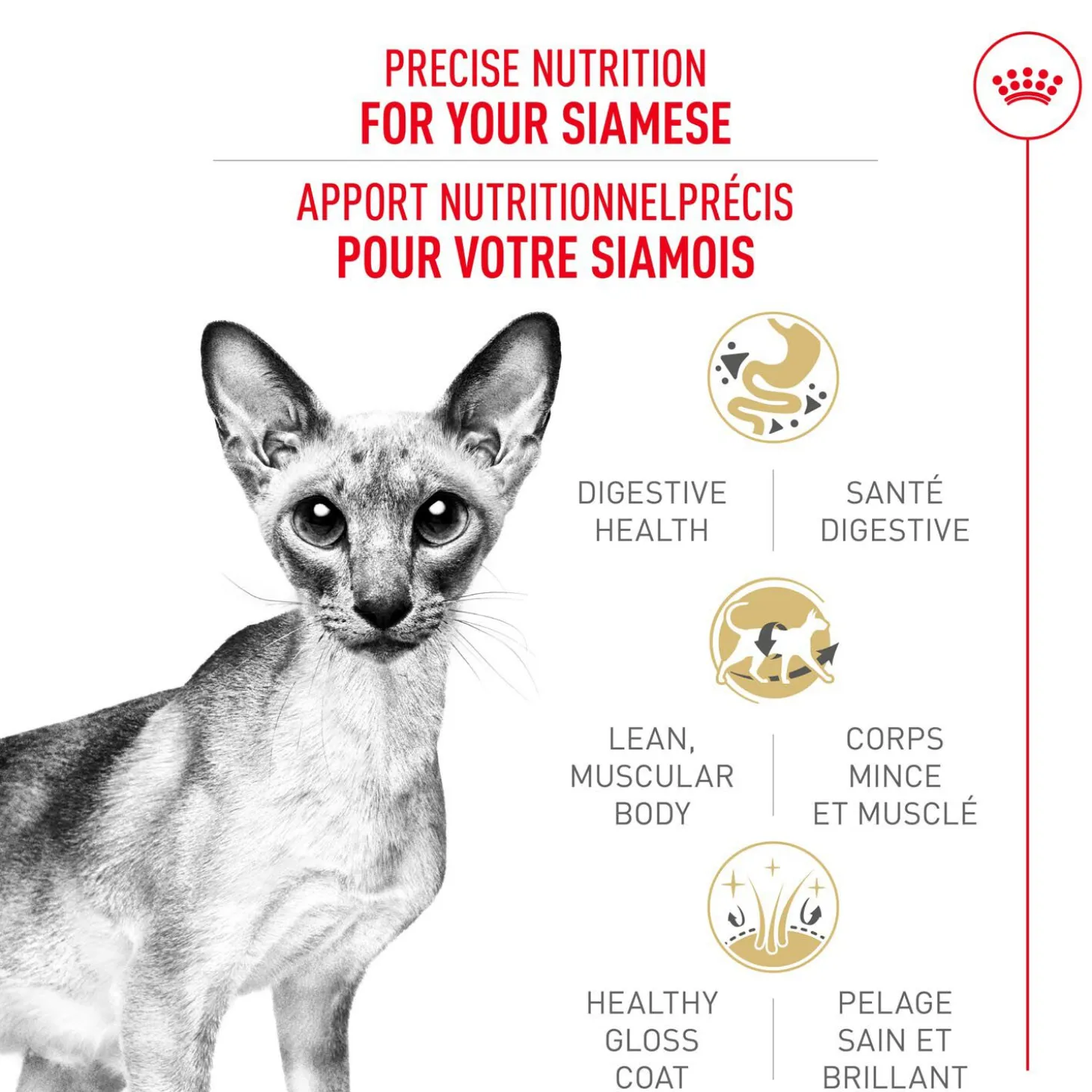 Feline Breed Nutrition™ Siamese Dry Cat Food