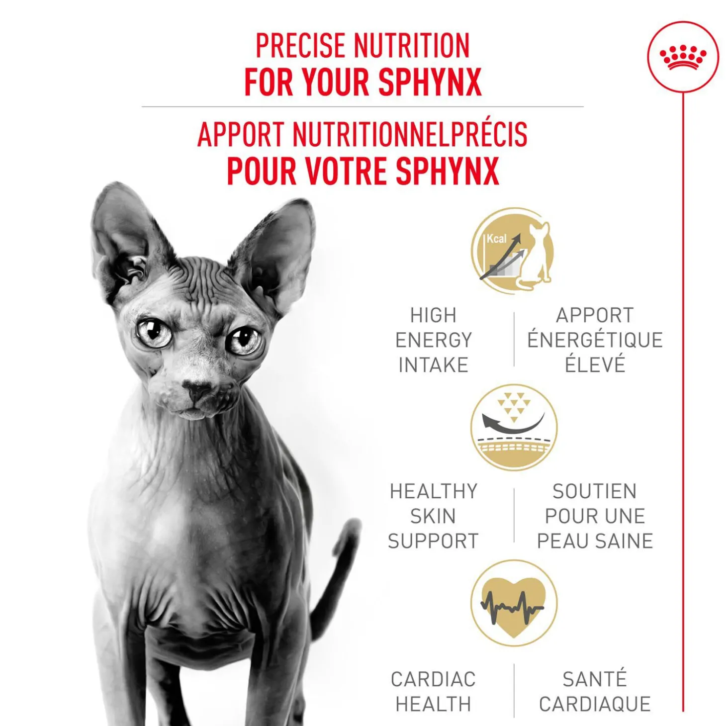 Feline Breed Nutrition™ Sphynx Cat Dry Food