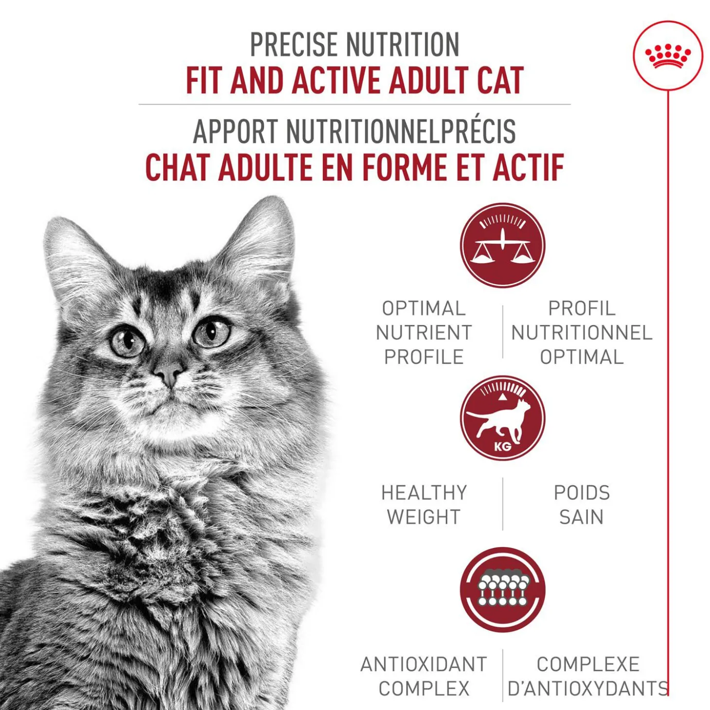 Feline Health Nutrition™ Fit And Active Dry Adult Cat Food