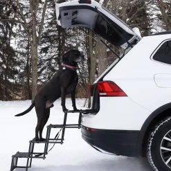 Folding car stairs for dogs