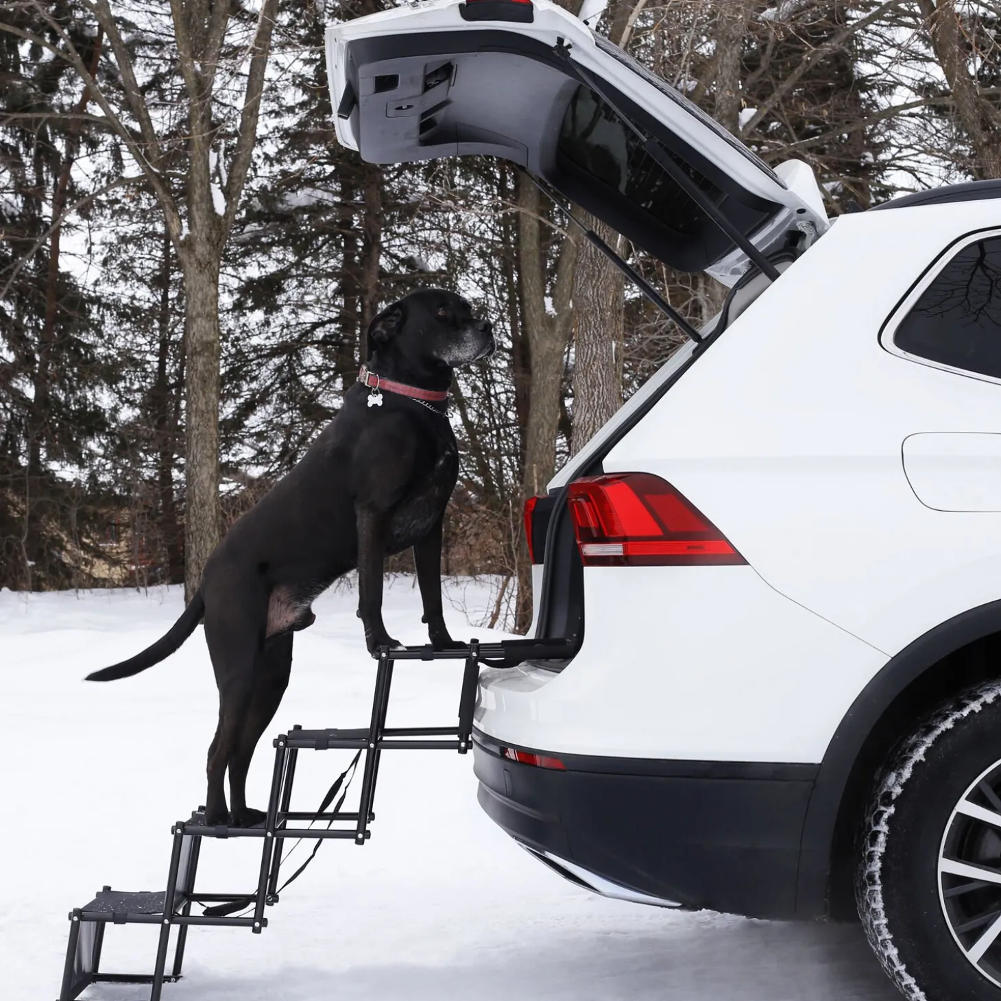 Folding car stairs for dogs