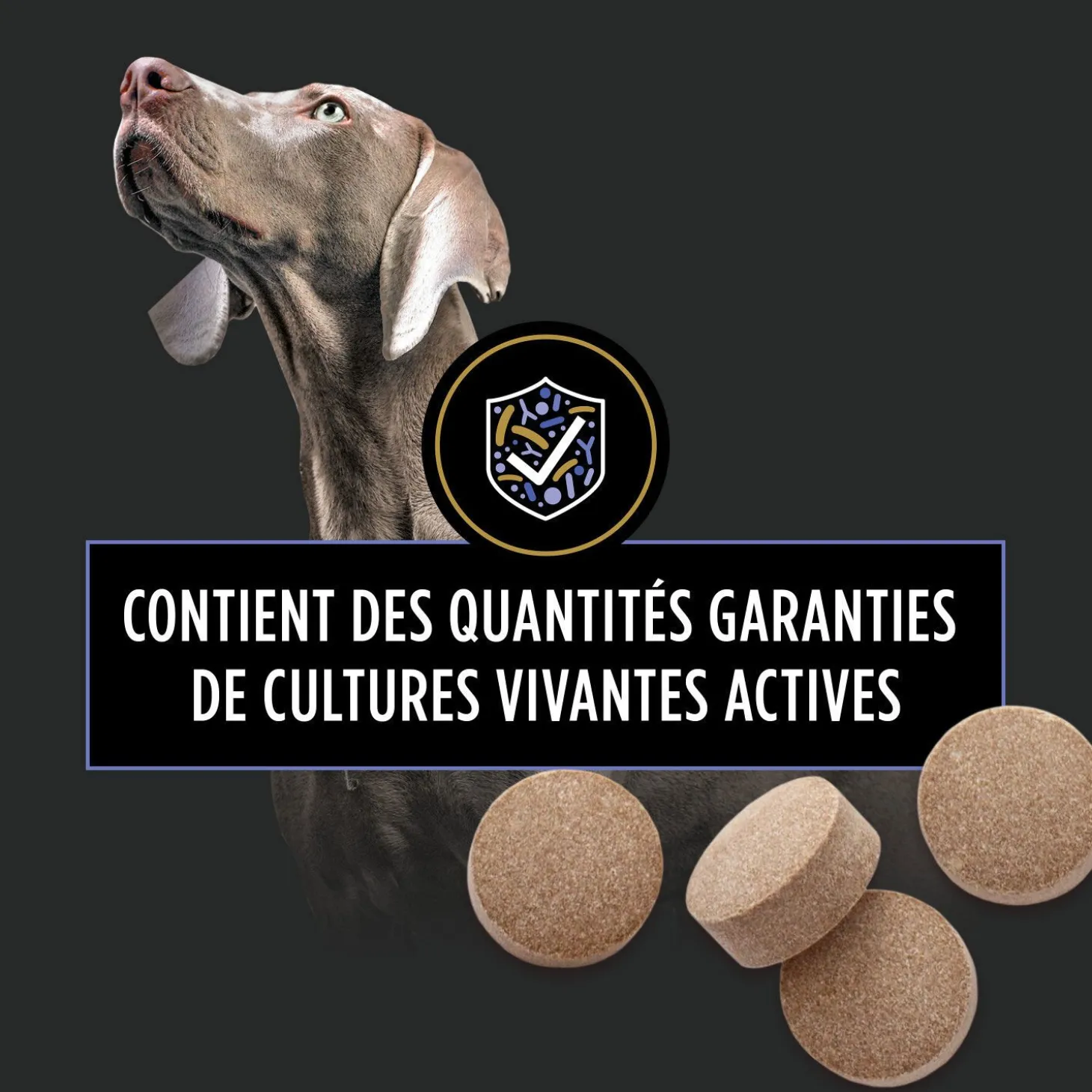 FortiFlora Canine Probiotic Tablets, 158 g