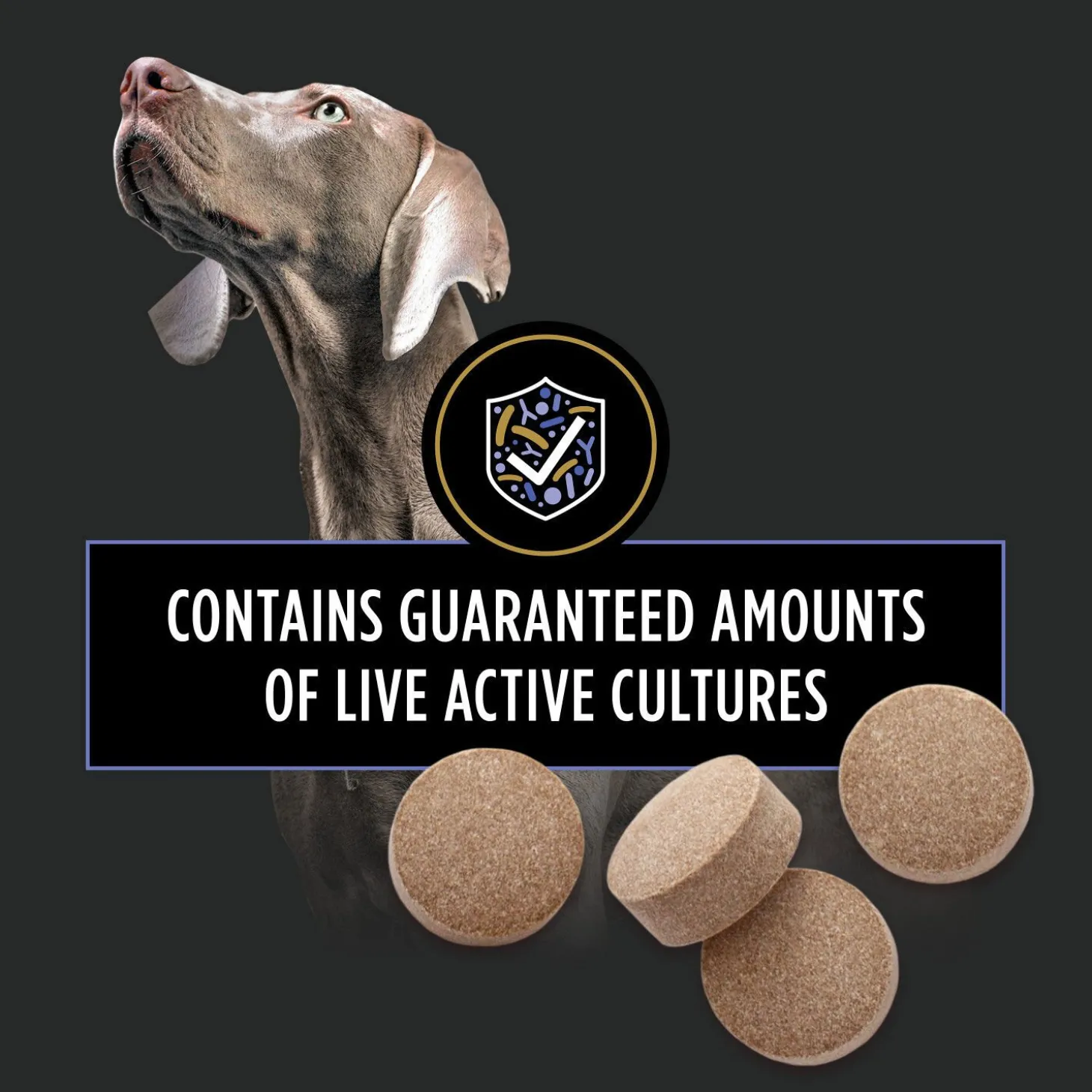 FortiFlora Canine Probiotic Tablets, 79 g