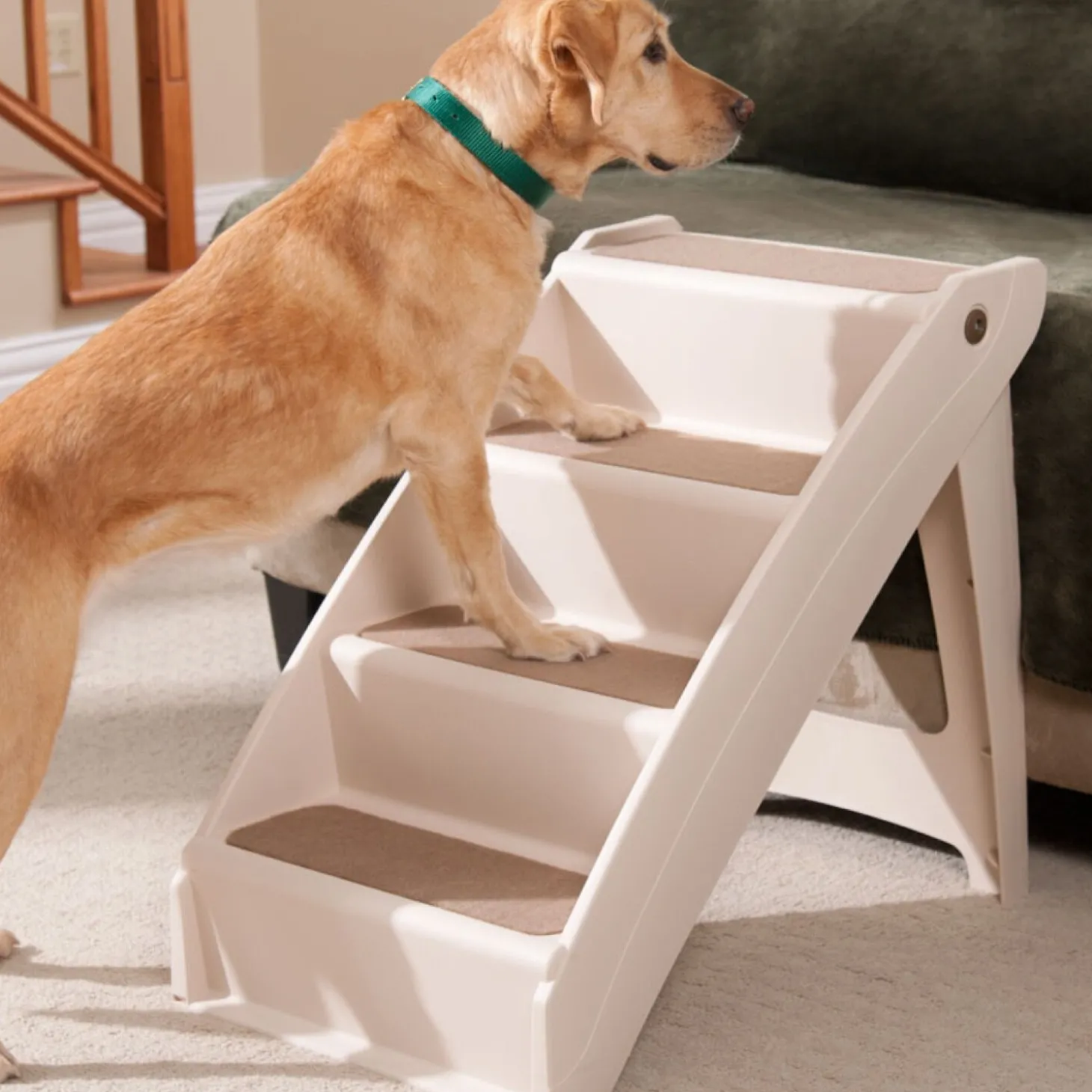 Four Step Pet Stairs