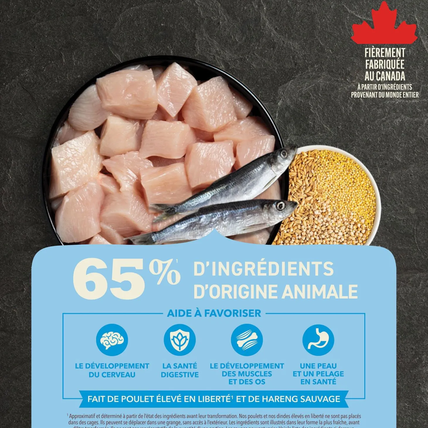 Free-Run Chicken and Wild-Caught Herring Dry Food Puppy Recipe, 10.2 kg