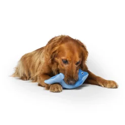 Freeze and Chill Cooling Pal Toy, Blue Dolphin