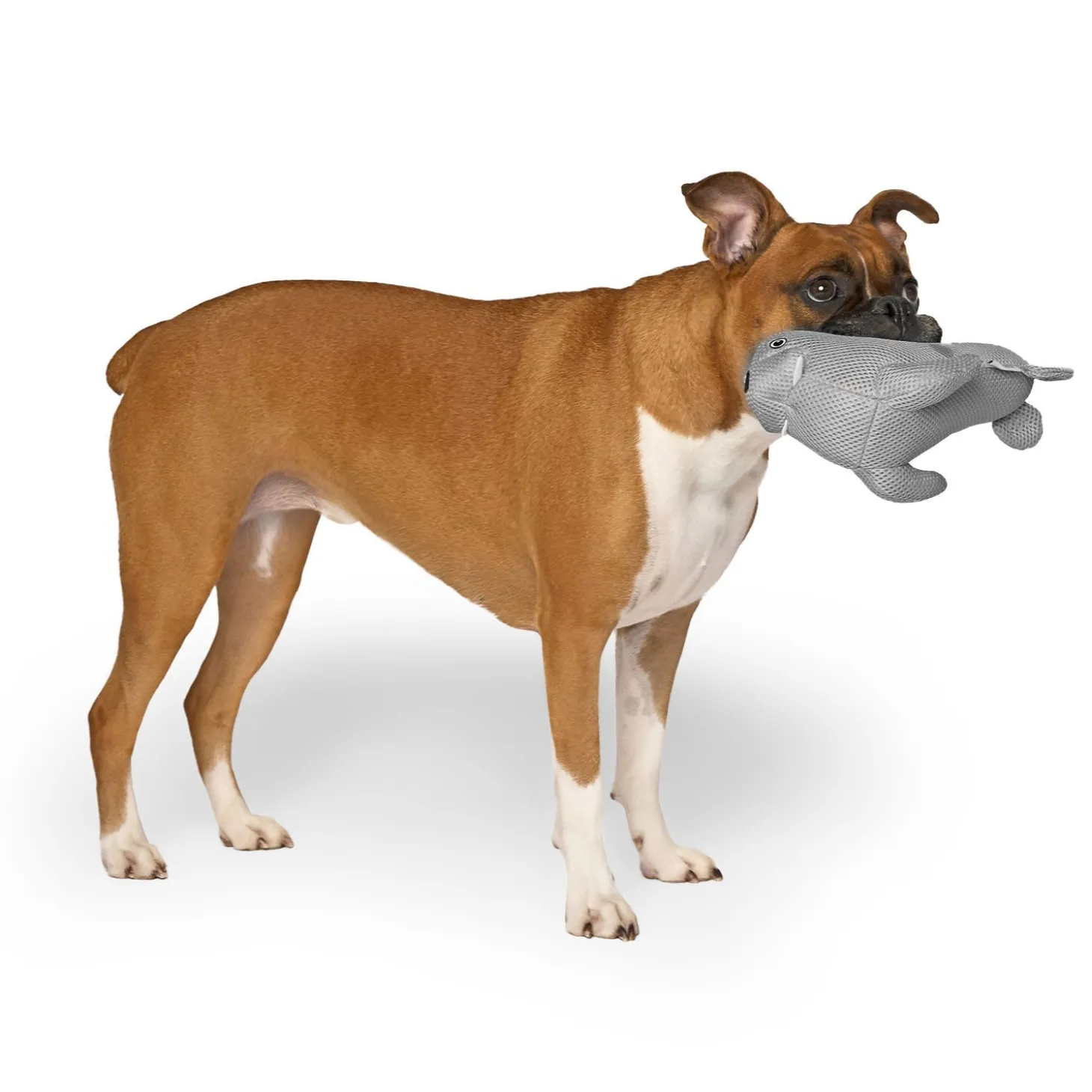 Freeze and Chill Cooling Pal Toy, Grey Walrus