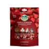 Freeze-Dried Strawberry Treats for Rodents